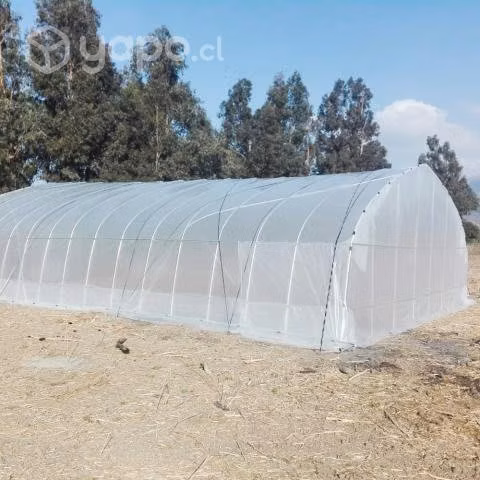 PRE VENTA INVERNADERO TÚNEL METALICO 80 Mts2 8*10