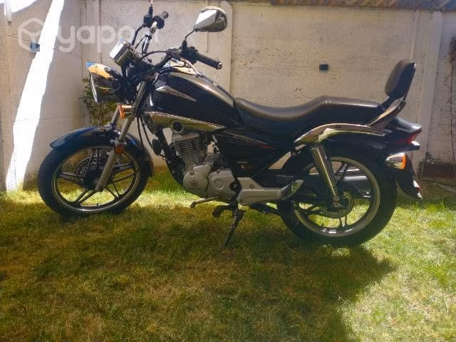 Honda sadow