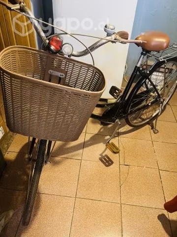 Bicicleta Lahsen - Imagen 5