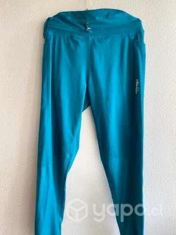 Bella calza ellesse verde moda