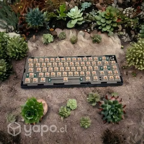 Teclado custom GMK67 - Imagen 2