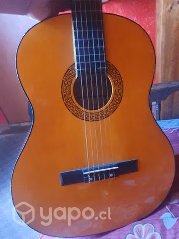Guitarra acústica en buen estado