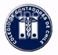 Contador Auditor