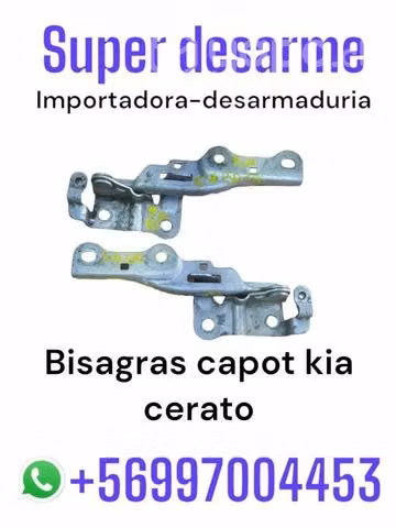 Bisagra capot Kia cerato desarmaduría