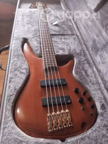 Bajo Ibanez premium