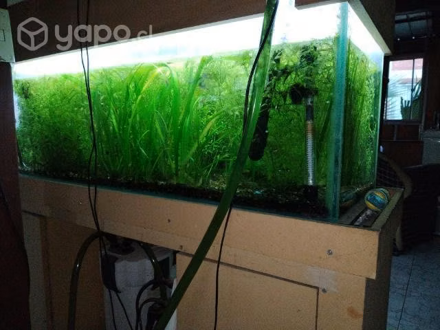 Acuario usado