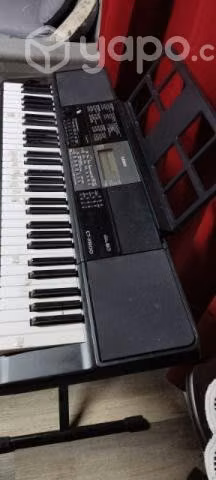 Teclado casio CT-X800