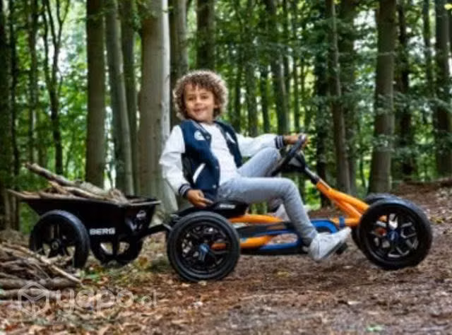 Go kart marca Berg modelo Buddy