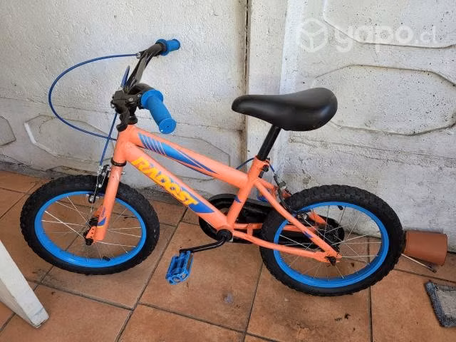 Bicicleta Radost Aro 16