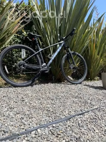 Trek marlin 5 2023