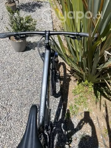 Trek marlin 5 2023
