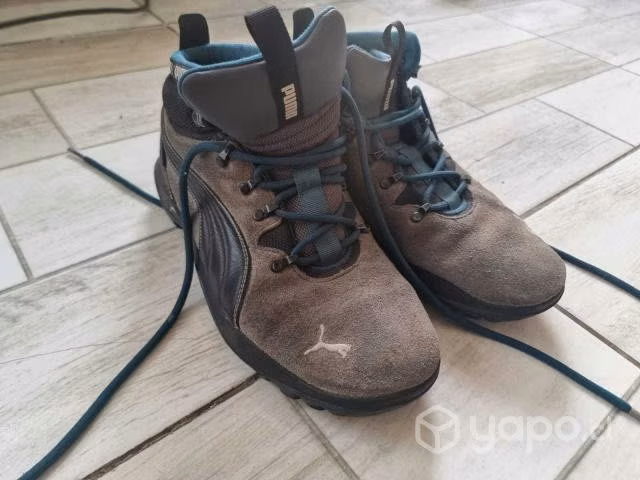 Zapatilla Hombre Puma Silicis