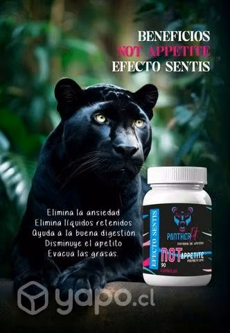Quemador de grasa - Imagen 2