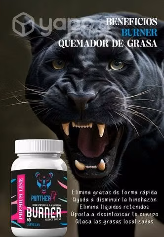 Quemador de grasa
