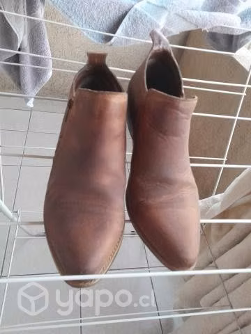Zapatos Bruno Rossi N°39