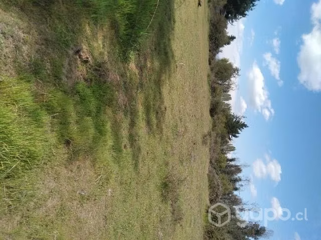 Dos hectareas con casa