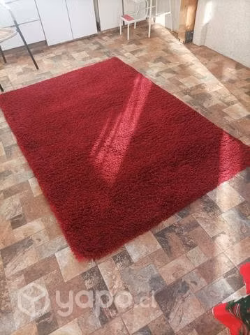 Alfombra roja
