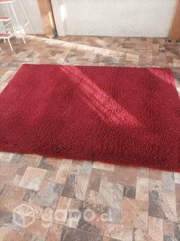 Alfombra roja