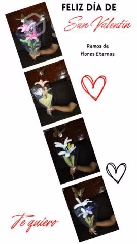Regalo