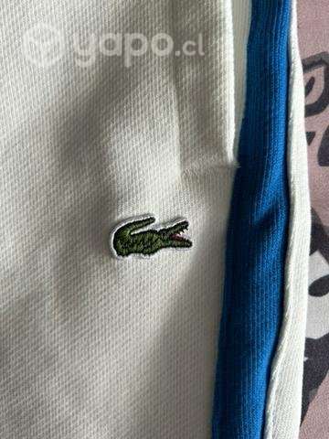 Buzo lacoste - Imagen 2