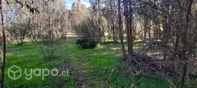 Parcelas en Quilpue