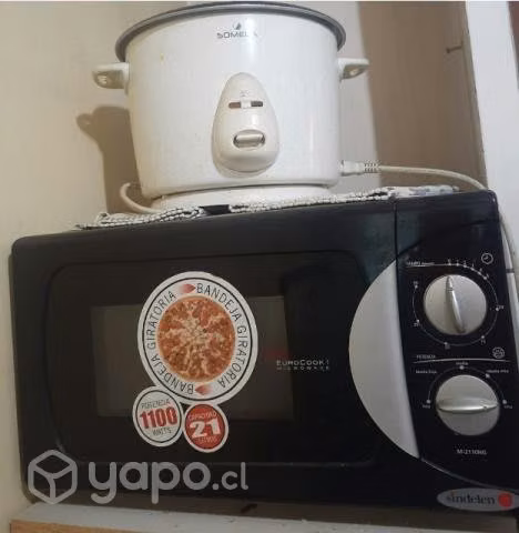 Lavadora LG + micro ondas+juguera+arrocea