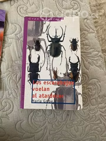 Libro Los escarabajos vuelan al atardecer
