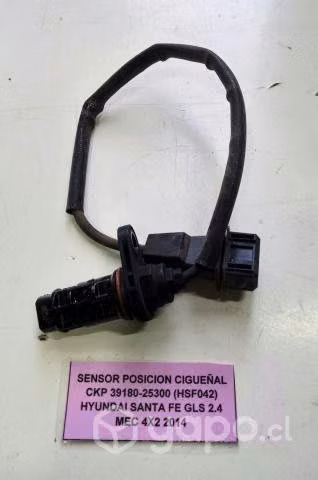 Sensor Posicion Ciguenal CKP (HSF042) Santa Fe