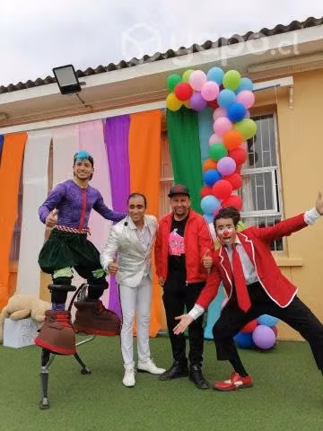 Circo y animaciones