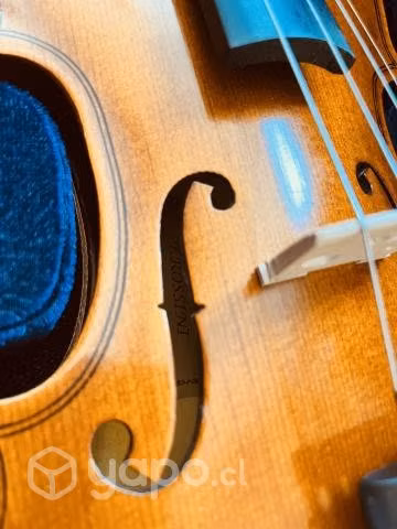 Violín - Imagen 3