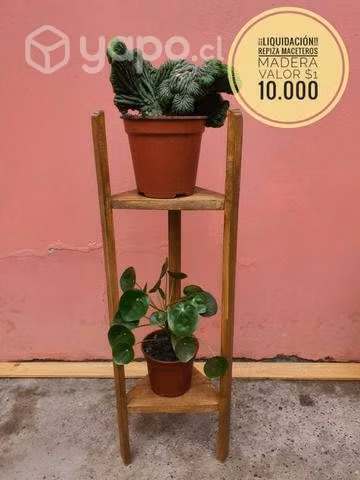 Repiza Maceteros madera