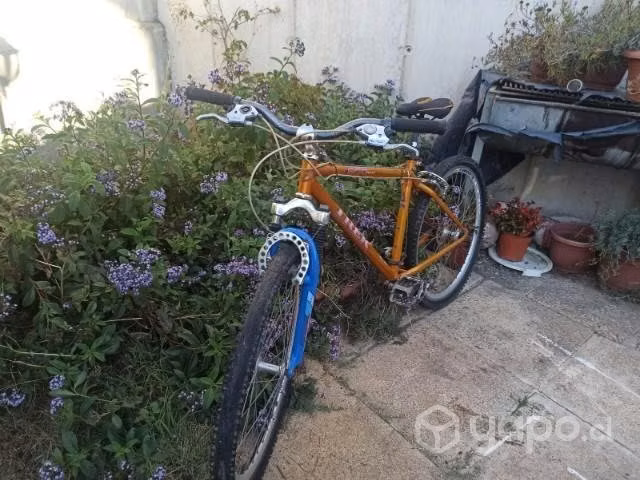 Bicicleta trek