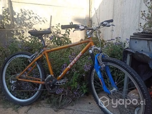 Bicicleta trek - Imagen 4