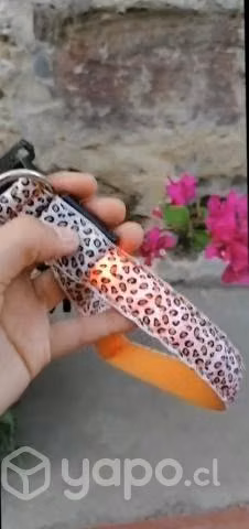 Collares led perros - Imagen 2