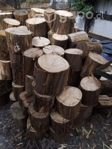 Leña seca
