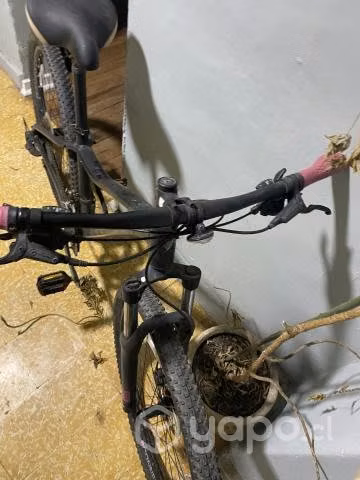Trek Marlin 5