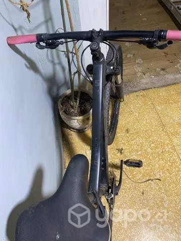 Trek Marlin 5