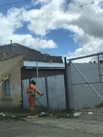 Se realizan corte de pasto