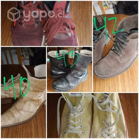 Calsado disponibles