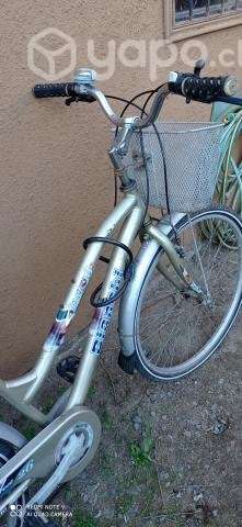 Bicicleta Bianchi Aro 26 - Imagen 2