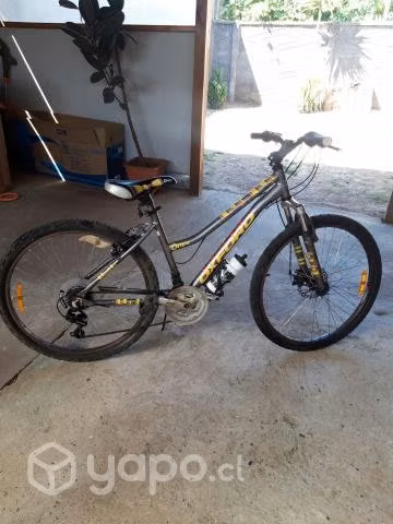 Bicicleta