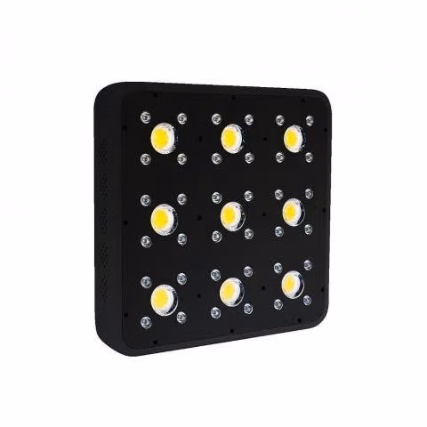 Luz Led Indoor Apollo Evolution 9 Pro - Imagen 2