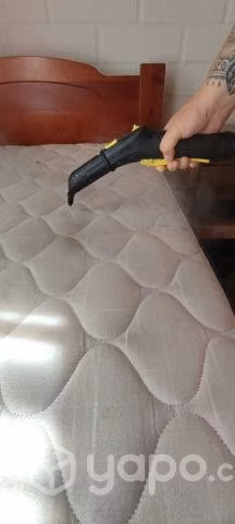 Servicio de limpieza de tapiz y pisos