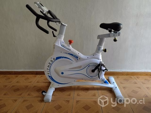 Bicicleta spinning magnética