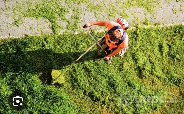 Mantención áreas verdes y pintura
