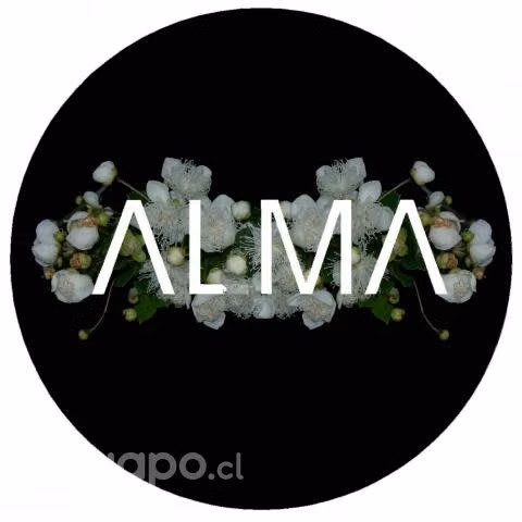 Alma arquitectura