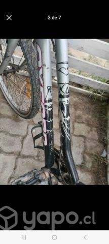 Bicicletas con mantenimiento - Imagen 4