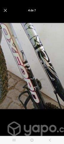 Bicicletas con mantenimiento - Imagen 3