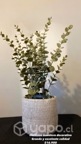 Maceteros decorativos