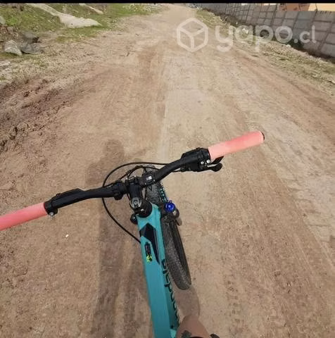 Bicicleta mujer